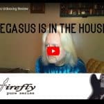 pegasus