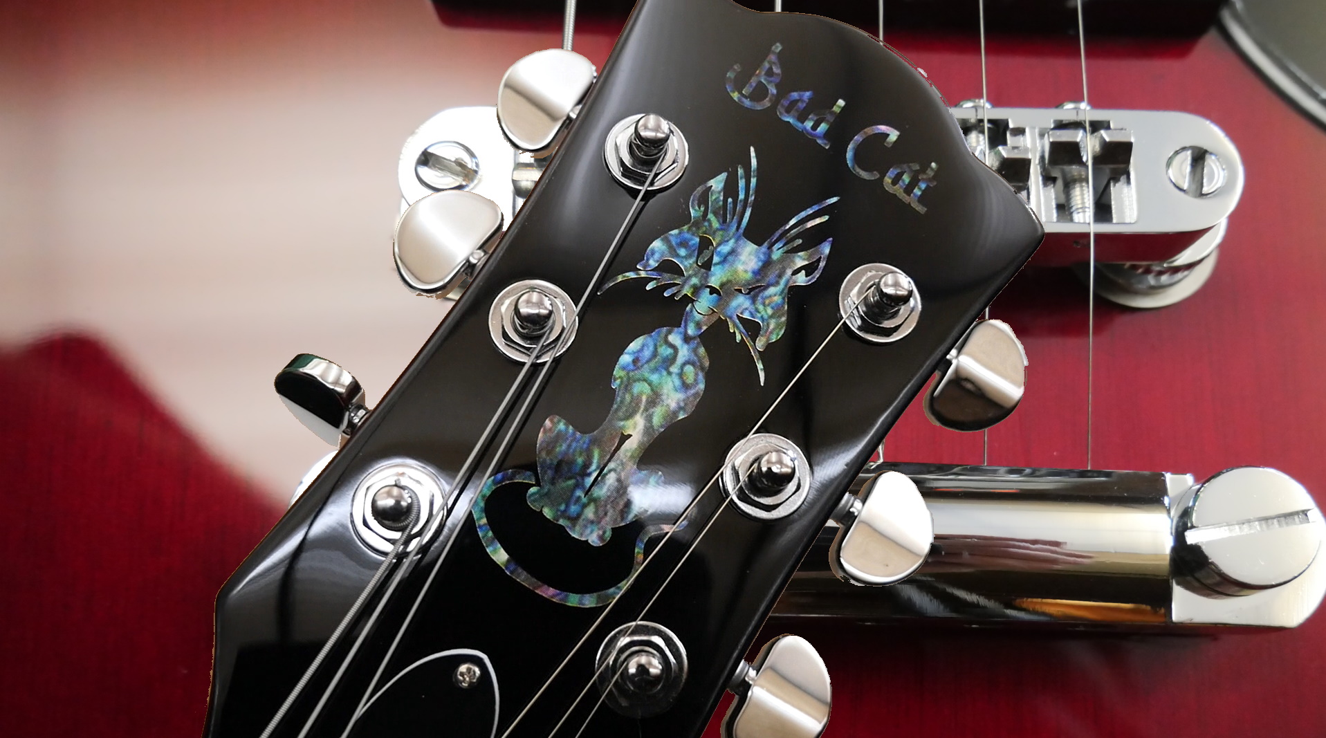 bc_sg_cover